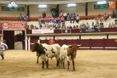 Foto 5 - El encierro que nunca falla 