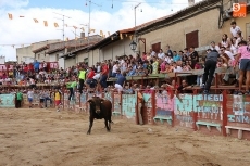 Foto 4 - Un bonito encierro de Rollanejo pone el broche a las fiestas