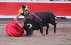 Foto 6 - Del Álamo, única oreja con el mejor toro de El Puerto en Bilbao