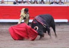 Foto 5 - Del Álamo, única oreja con el mejor toro de El Puerto en Bilbao