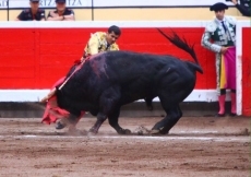 Foto 3 - Del Álamo, única oreja con el mejor toro de El Puerto en Bilbao