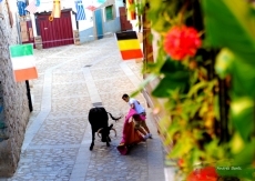 Foto 6 - San Ramón Nonato en Sotoserrano