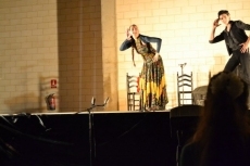 Foto 6 - Rita Clara viste de flamenco la noche con un gran espectáculo