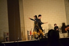 Foto 5 - Rita Clara viste de flamenco la noche con un gran espectáculo