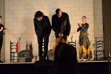 Foto 4 - Rita Clara viste de flamenco la noche con un gran espectáculo