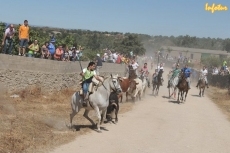 Foto 4 - Susto para uno de los caballistas en el último encierro con novillos de Aldeanueva