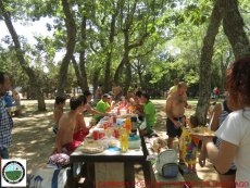 Foto 4 - Las carreras a pie y en patines contaron con más de 300 participantes