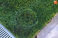 Foto 3 - El equipo Senior del Ciudad Rodrigo estrena por fin el campo de césped artificial