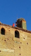 Foto 4 - La colocación de la Mariseca anuncia las fiestas y los festejos taurinos