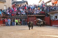 Foto 6 - Los novillos de Ignacio López-Chaves llegan de dos en dos en un encierro sin más incidentes