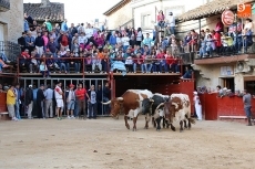 Foto 5 - Multitudinario y bonito tercer encierro con astados de Hermanos Mateos