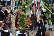 Foto 3 - Hebras de vida