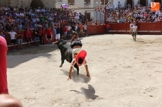 Foto 6 - Vibrante y multitudinario encierro a caballo con novillos de Andrés Celestino García