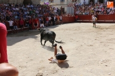 Foto 4 - Vibrante y multitudinario encierro a caballo con novillos de Andrés Celestino García