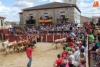 Foto 2 - Cinco intensos días para disfrutar de las Fiestas del Toro