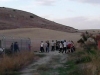 Foto 2 - Macotera se echa al campo para recuperar los 3.000 faisanes de la granja asaltada