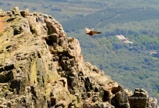 Foto 4 - El día de la Peña de Francia