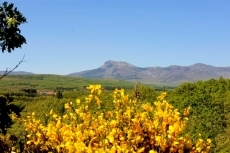 Foto 6 - Alto es el silencio