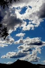 Foto 4 - Alto es el silencio