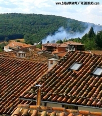 Foto 3 - Controlado un incendio que se originó cerca del casco urbano de Candelario