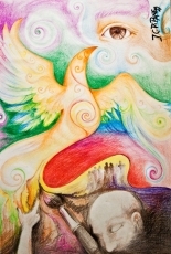 Foto 3 - El Espacio Joven expone las ilustraciones del artista Juan C. Di Pane