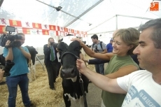 Foto 3 - La ministra de Agricultura pone como ejemplos de desarrollo del sector al vacuno de carne y al...