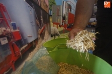 Foto 4 - Martínez IDi, innovación en maquinaria para la alimentación animal