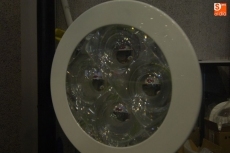 Foto 3 - Aisla Vida presenta en la Feria la iluminación natural para naves y hogares