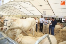 Foto 6 - La primera jornada de Salamaq, en imágenes