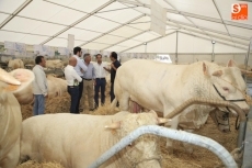 Foto 5 - La primera jornada de Salamaq, en imágenes