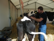 Foto 3 - "Espero que los ganaderos de leche sí tengamos futuro"