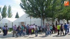 Foto 4 - Miles de personas, aparcamiento a rebosar y colas kilométricas para acceder a Salamaq