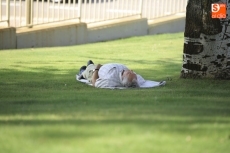 Foto 5 - El público, uno de los grandes protagonistas de la jornada en Salamaq