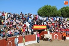 Foto 4 - Emocionante segundo encierro de las fiestas con novillos de Valrubio