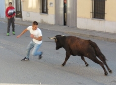 Foto 6 - Mucha animación y ningún incidente en el primer encierro de las fiestas