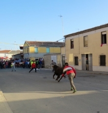 Foto 3 - Mucha animación y ningún incidente en el primer encierro de las fiestas