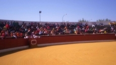 Foto 4 - Divertido encierro infantil con los toros de la Asociación Taurina