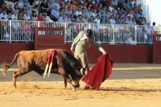 Foto 3 - David Salvador gana el certamen de Escuelas de Tauromaquia en Salamaq