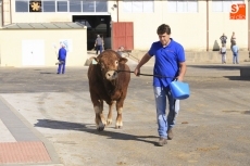 Foto 6 - Adiós a Salamaq15