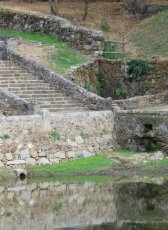 Foto 5 - El Bosque sin agua, no es nada