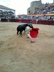 Foto 5 - Puerta grande para el novillero venezolano José David Cadavid 