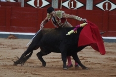 Foto 3 - Pérez Pinto y Antonio Grande, a hombros en La Glorieta