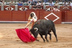 Foto 3 - Dos orejas a la clase y la entrega de Alejandro Marcos
