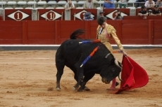 Foto 6 - Dos orejas a la clase y la entrega de Alejandro Marcos