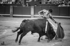 Foto 6 - Cum Laude para Marcos en el Tribunal Salmanticense