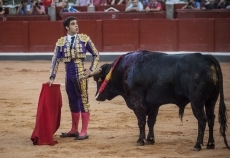 Foto 5 - Cum Laude para Marcos en el Tribunal Salmanticense