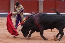 Foto 6 - Verdad y poso, propósito de cambio