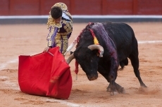 Foto 5 - Verdad y poso, propósito de cambio