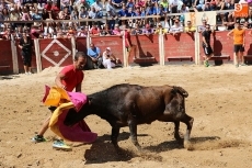 Foto 6 - Las peñas animan un emocionante primer encierro con reses de Rollanejo