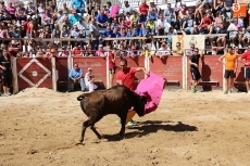 Foto 5 - Las peñas animan un emocionante primer encierro con reses de Rollanejo